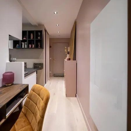 Studio Lumineux Et Cosy Avec Terrasse Dans Le 15e * Paris
